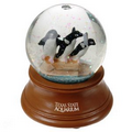 Snow Globe